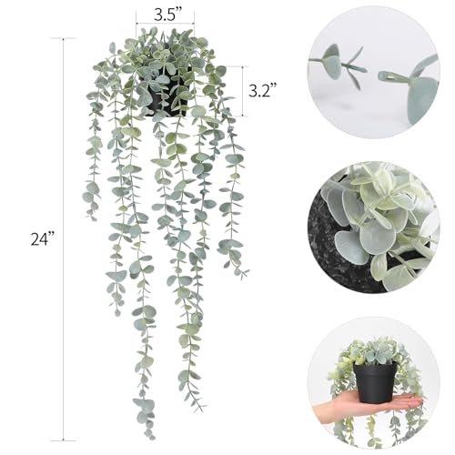 COCOBOO Eucalyptus Hanging Plant – No Maintenance Decor