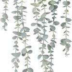 COCOBOO Eucalyptus Hanging Plant – No Maintenance Decor