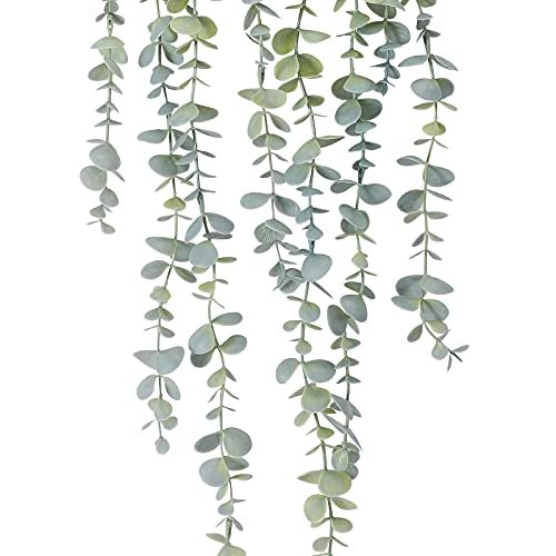 COCOBOO Eucalyptus Hanging Plant – No Maintenance Decor