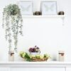 COCOBOO Eucalyptus Hanging Plant – No Maintenance Decor