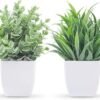 Der Rose 2-Pack Mini Eucalyptus Fake Plants for Home Decor