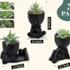 Der Rose 3pcs Black Fake Succulents for Stylish Decor