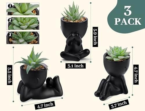 Der Rose 3pcs Black Fake Succulents for Stylish Decor