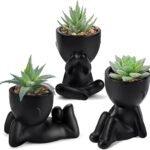 Der Rose 3pcs Black Fake Succulents for Stylish Decor