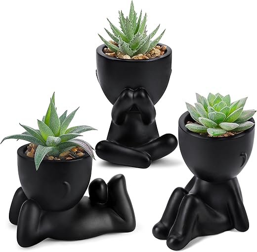 Der Rose 3pcs Black Fake Succulents for Stylish Decor